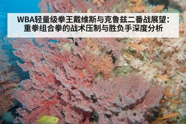 WBA轻量级拳王戴维斯与克鲁兹二番战展望:重拳组合拳的战术压制与胜负手深度分析